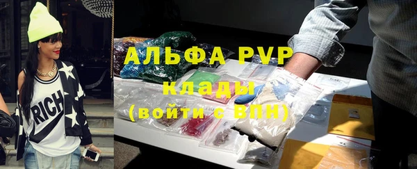 хмурый Алексин