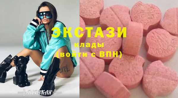 хмурый Алексин
